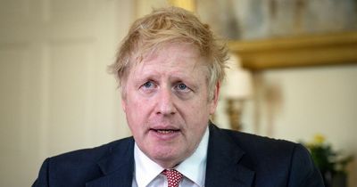 'Selfish Boris Johnson can't stand the heat - next PM must give voters a say'