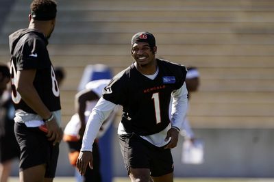 Ja’Marr Chase puts up big weights in new workout video