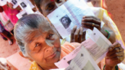 Panchayat poll result on August 12, code of conduct in force, says Goa state election commission