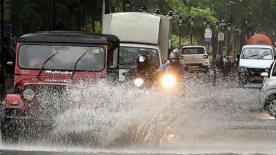 Goa: Incessant rain with wind disrupts power, ferries, brings down trees