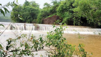 Monsoon bounty: Most reservoirs in Goa reach capacity on schedule