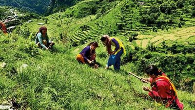 Uttarakhand celebrates Harela, state plans to plant 5 lakh saplings