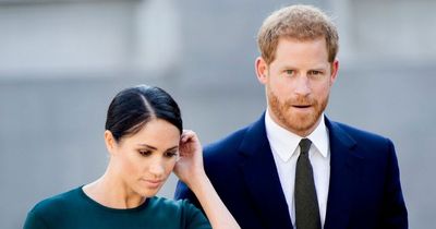 Meghan Markle and Prince Harry thought they had 'Diana's magic', book claims