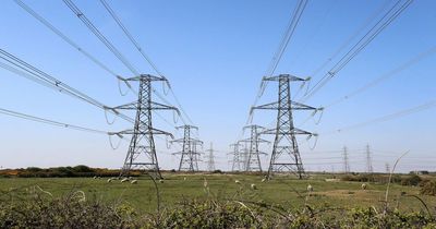 UK heatwave 'could cause power cuts, phone blackouts and car breakdowns'