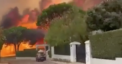 Expat in Malaga shares terrifying footage of huge wildfire as Europe continues to burn