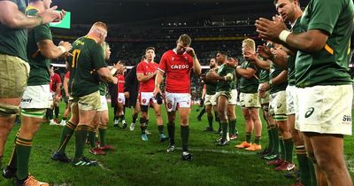 South Africa v Wales winners and losers as coaches earn respect and Springboks don't look like world champs