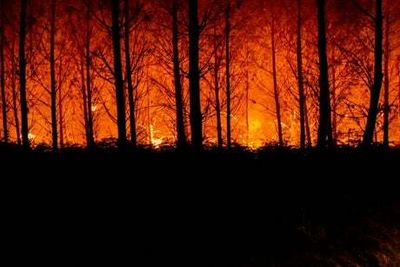 Europe heatwave: Thousands of firefighters battle blazes across Portugal, Spain and France