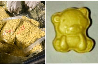 No hunny, no money: 'Winnie the Pooh' ecstasy seized by Mekong
