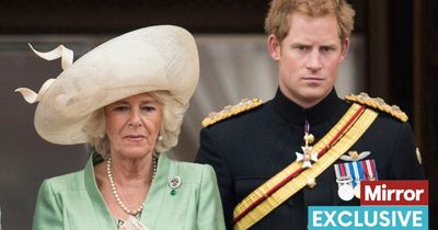 Prince Harry doesn't have great respect for Camilla after bond went 'off boil', says expert