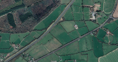 Teenager fighting for life after car hits loose horse as gardai shut section of motorway