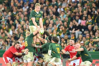 Nienaber expects more 'polished' Springboks against All Blacks