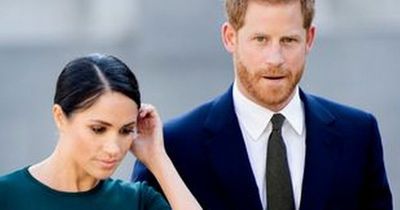 Meghan Markle and Prince Harry believed they had 'Diana's magic', explosive new book claims