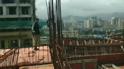 Mumbai: Activists rescue dogs stuck on the 12th floor of under-construction building in Mira Road