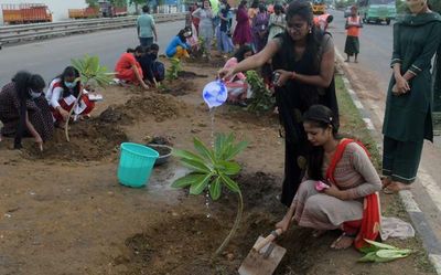 NHAI begins planting saplings along Chennai Bypass