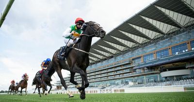 PJ McDonald wins race to ride Pyledriver in King George VI and Queen Elizabeth Stakes