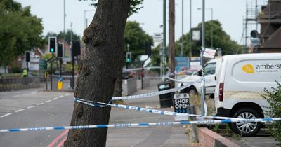 Boy, 5, killed after being hit by a lorry 'while cycling on his Spider-Man bike'