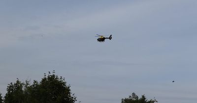 Huge search launched to find male seen in Northumberland river