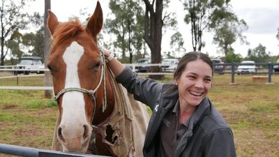 Rural Queensland vets hopeful for the future despite mental health crisis and national vet shortage