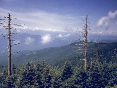 Cherokee tribe supports renaming Clingmans Dome in Smoky Mountains National Park