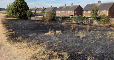 Investigation into Bestwood blaze after grass fire spreads to house