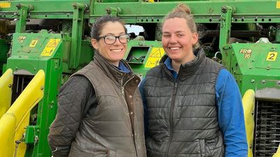 Delayed NSW cotton harvest and worker shortage leads women to rise to the occasion to get crop picked