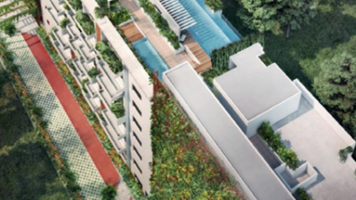 Gardens go vertical amid shrinking spaces in Bengaluru