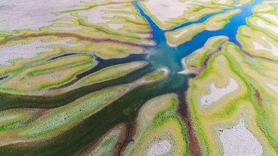 Traditional owners use AI and aerial imaging to help restore wetlands in south-west NSW