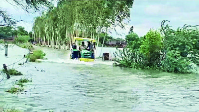 Punjab: Heavy rains wreak havoc in low-lying fields of Muktsar