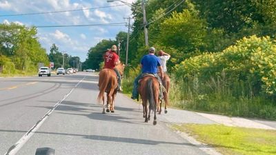 No Bull: New Hampshire Cops And Cowboys Bring In Runaway Steer