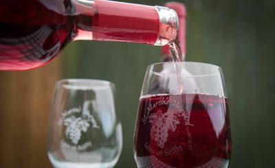 Risky Business: A Glass Of Wine A Day May Lead To Alzheimer’s