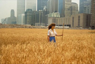 A field of wheat on a $4.5bn patch of New York: the prophetic eco art of Agnes Denes