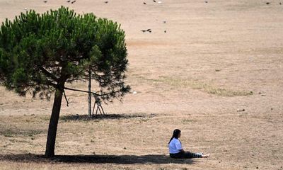 Extreme UK weather: flights halted as runways melt and temperatures exceed 38C in parts of England – as it happened