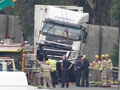 Not guilty pleas in cop-killing crash case