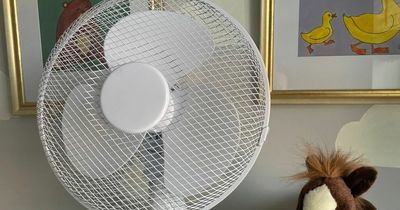 Dublin weather: Where to buy a cheap fan today including Aldi and SuperValu