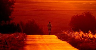 Hottest day in UK's history could hit 43C says Met Office in latest warning