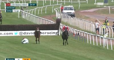 Punters stunned as 999-1 winner handed Newton Abbot victory in crazy race over jumps