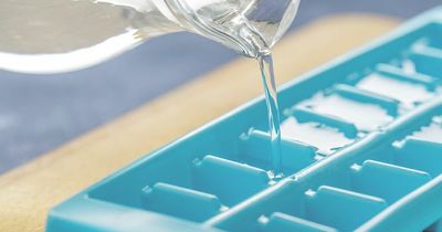 Woman shares little-known ice cube tray hack to fill it without spilling any water