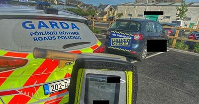 Gardai arrest driver after catching them not wearing seatbelt - only to find drunk behind the wheel