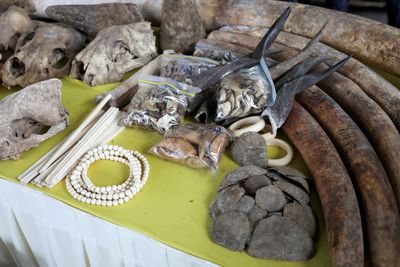 Malaysia seizes six tonnes of illegally trafficked animal parts