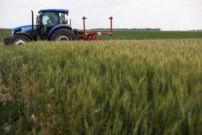 Turkey says Ukraine, Russia, U.N. meeting this week on grain corridor "probable"