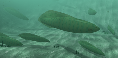 When did the first fish live on Earth – and how do scientists figure out the timing?