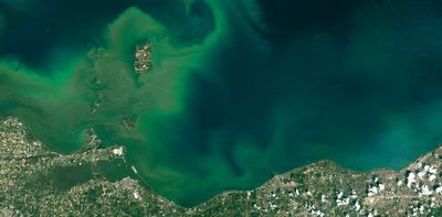 To reduce harmful algal blooms and dead zones, the US needs a national strategy for regulating farm pollution