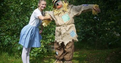 Weekly family theatre shows coming to Merseyside beauty spot this summer