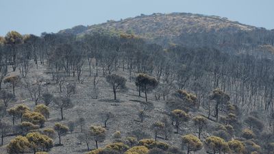 Britain, France brace for hottest day as Europe forest fires rage