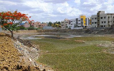 Expedite underground drainage scheme, NGT tells Chennai, Tambaram corporations