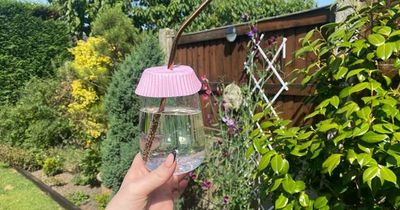 Asda shopper shares 1p hack that stops pesky flies from landing in your drink
