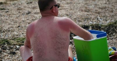 UK weather: Scientists warn heatwave may return NEXT WEEK - and could become annual event