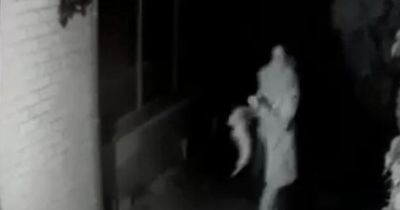 Woman 'numb' after spotting her dog in 'horrific' CCTV footage