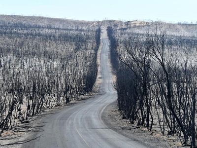 Plibersek's plan to fix sick environment