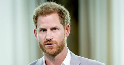 'Incandescent' Prince Harry's 'violent outburst' at party with Meghan left pals puzzled